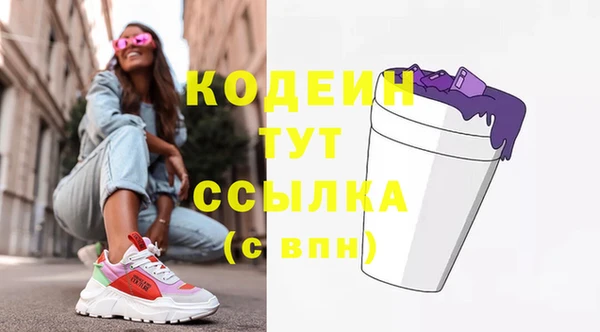 шишки Арсеньев