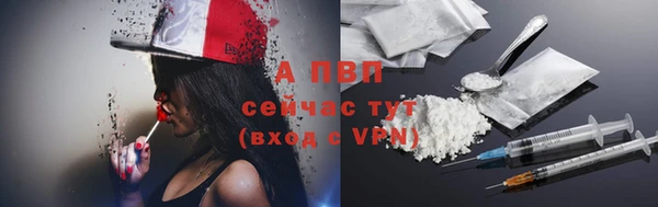 шишки Арсеньев