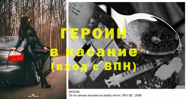 шишки Арсеньев