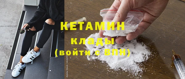 шишки Арсеньев