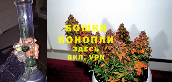 шишки Арсеньев