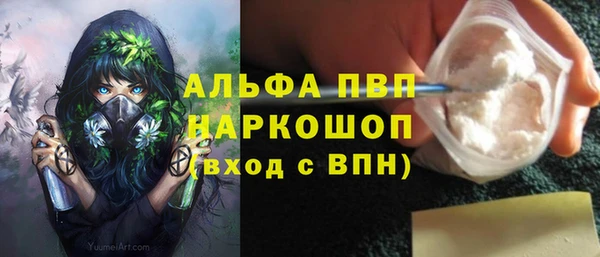 шишки Арсеньев