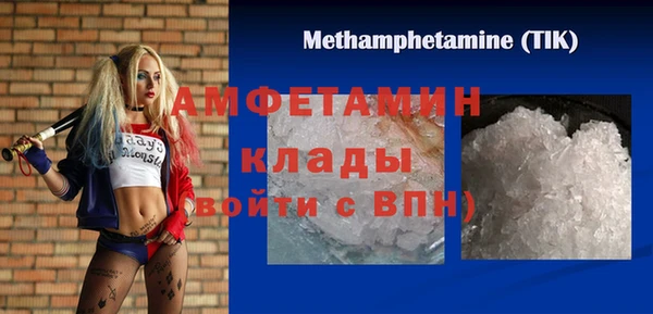 шишки Арсеньев