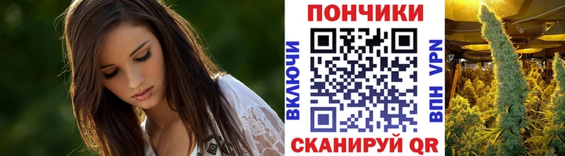 Конопля гибрид Купить где Высоковск
